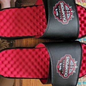 National Championship islides